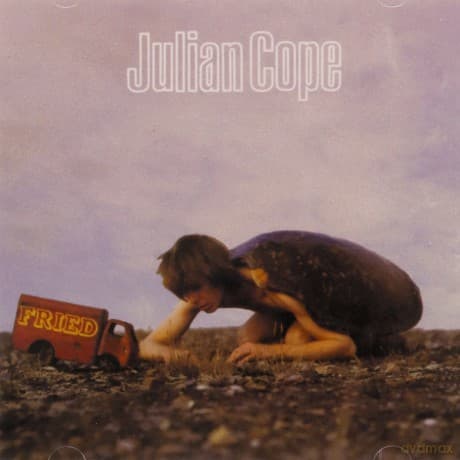Julian Cope: Fried