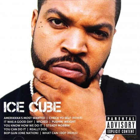 Ice Cube: Icon