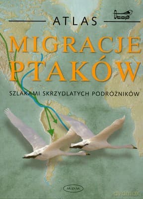 Migracje Ptaków - Chris Mead