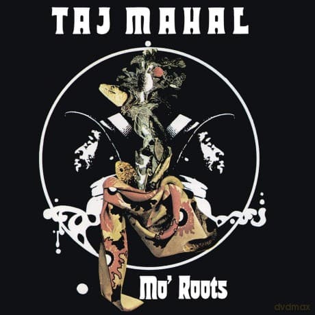 Taj Mahal: Mo' Roots