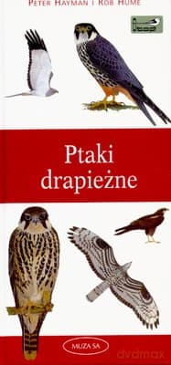 Ptaki drapieżne Przewodnik - Rob Hume, Peter Hayman