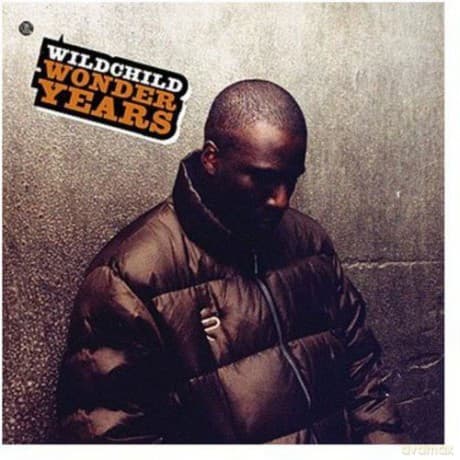 Wildchild: Wonder Years