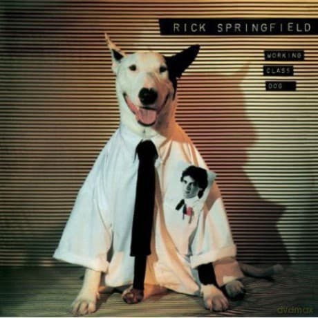 Rick Springfield: Working Class Dog