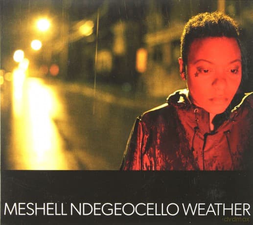 Meshell Ndegeocello: Weather