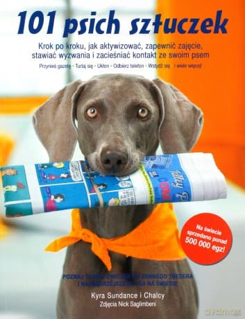 101 psich sztuczek. Krok po kroku, jak aktywizować, zapewnić zajęcie, stawiać wyzwania i zacieśniać kontakt ze swoim psem - Kyra Sundance