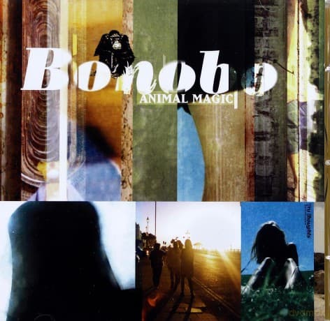 Bonobo: Animal Magic (Niska Cena)