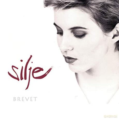 Silje Nergaard: Brevet