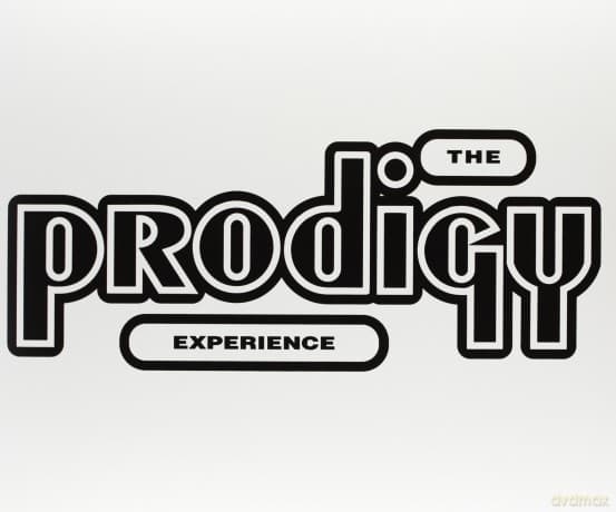 The Prodigy: Experience