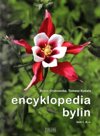 Encyklopedia Bylin T.1 - Beata Grabowska