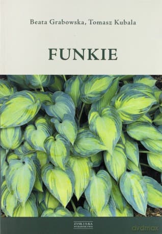 Funkie - Beata Grabowska