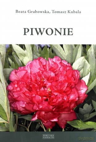 Piwonie - Beata Grabowska