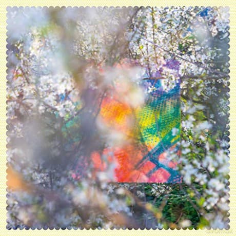 Four Tet: Sixteen Oceans