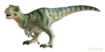 Tyrannosaurus