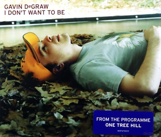 Gavin Degraw: I Don't Want To Be