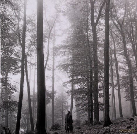 Taylor Swift: Folklore (Deluxe Edition)