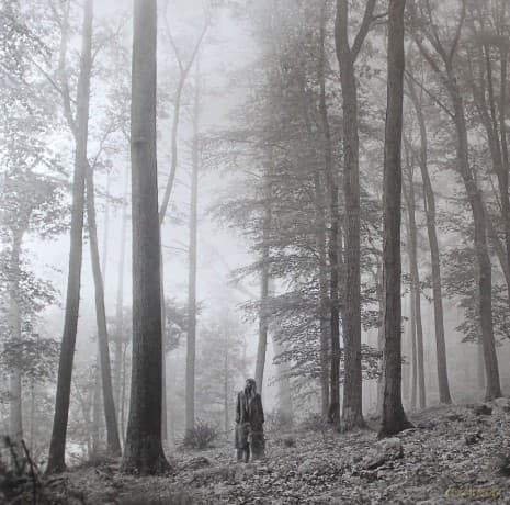 Taylor Swift: Folklore (Deluxe)