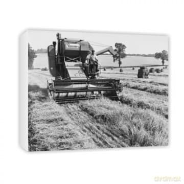 Roald Daul: Charlie And The Chocolate Factory Charlie & Golden Ticket Coaster