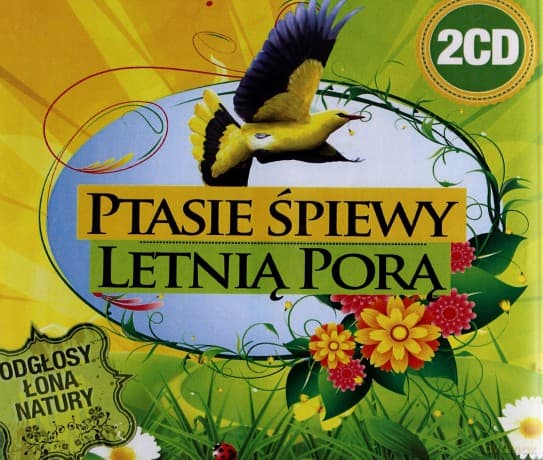Ptasie śpiewy letnią porą