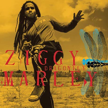 Ziggy Marley: Dragonfly