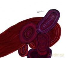 Arve Henriksen: Strjon