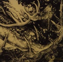 The Third Eye Foundation: The Dark