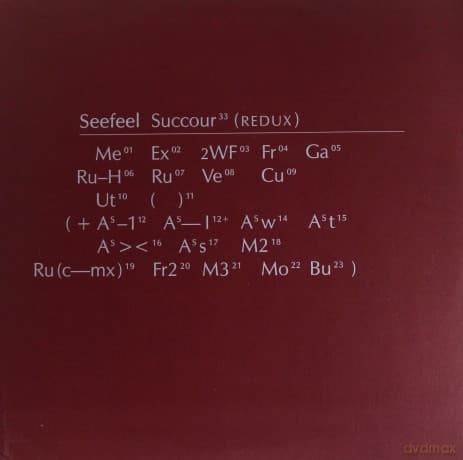 Seefeel: Succour (Redux)