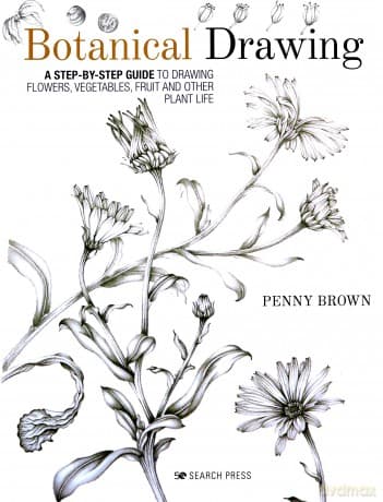Botanical Drawing: A step-by-Step guide to drawing flowers, vegetables, fruit and other plant life - Penny Brown