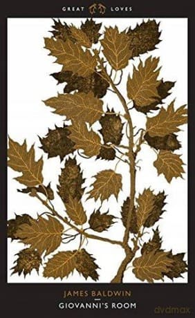 Giovanni's Room (Penguin Great Loves) - James Baldwin