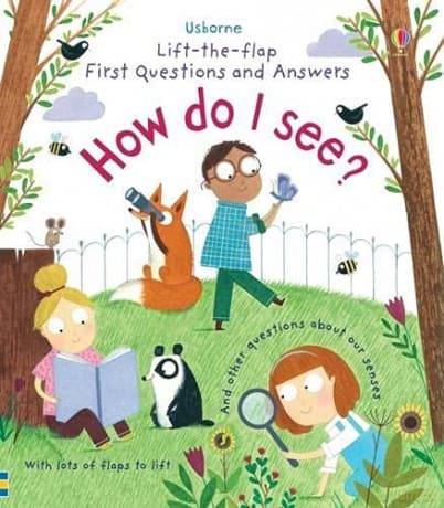 Lift-the-Flap First Questions & Answers How Do I See? (Lift-the-Flap First Questions and Answers): 1 - Katie Daynes