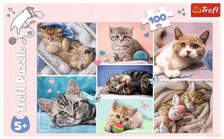 TREFL 100 el. W kocim świecie (16420)