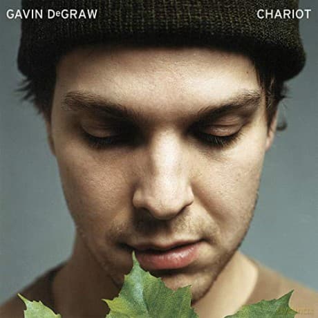 Gavin Degraw: Chariot (Leafy Sunlight Transparent Green)