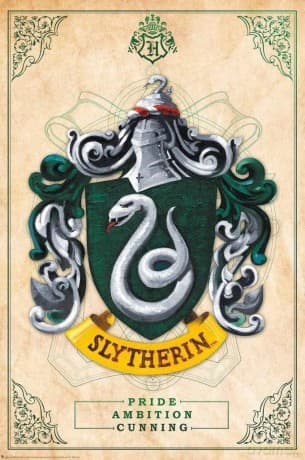 HARRY POTTER Slytherin Plakat (91.5x61)