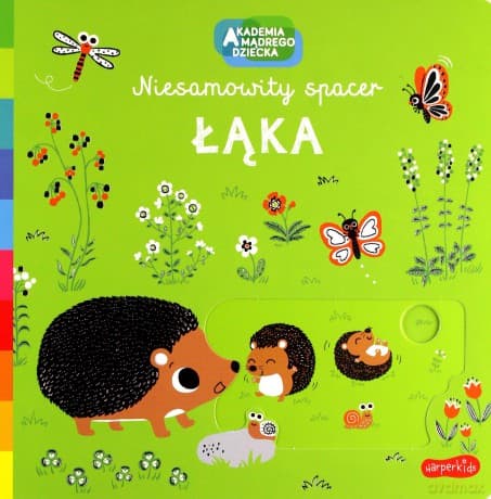 Łąka. Akademia mądrego dziecka. Niesamowity spacer - Emiri Hayashi