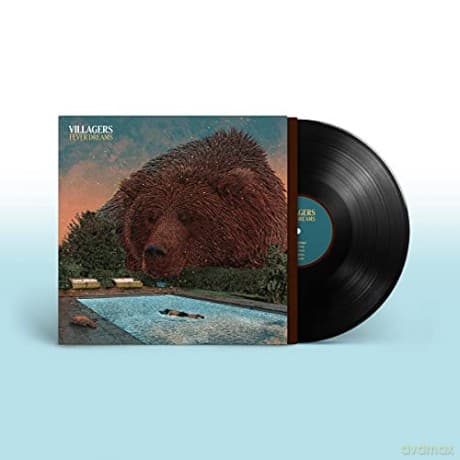 Villagers: Fever Dreams