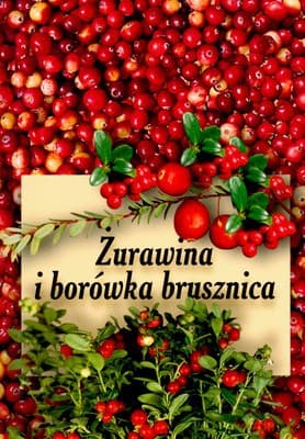 Żurawina I Borówka Brusznica (broszurowa)
