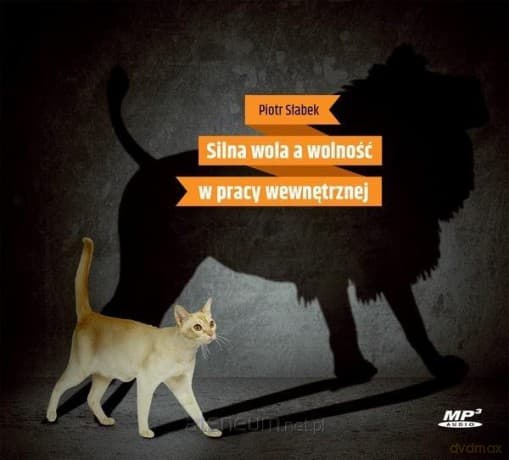Silna wola a wolność pracy wewnętrznej - Piotr Słabek
