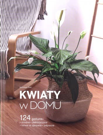 Kwiaty w domu - Jarosław Rak