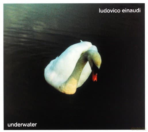 Ludovico Einaudi: Underwater