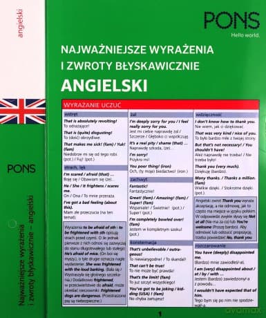 Najważniejsze wyrażenia i zwroty błyskawiczne zwroty Angielski