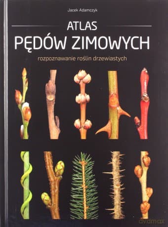 Atlas pędów zimowych - Jacek Adamczyk