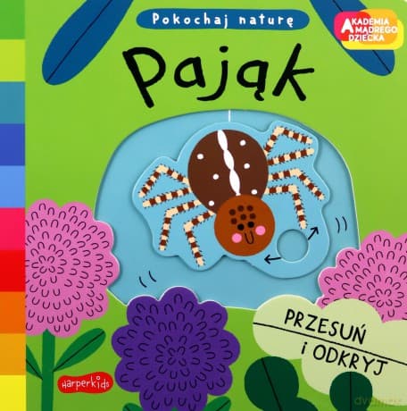 Pająk. Akademia mądrego dziecka. Pokochaj naturę - Campbell Books