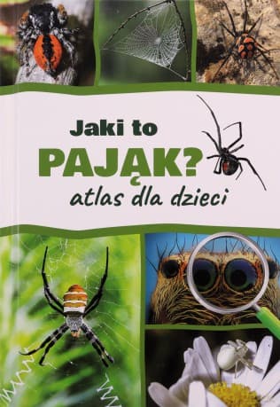Jaki to pająk? Atlas dla dzieci - Jacek Twardowski