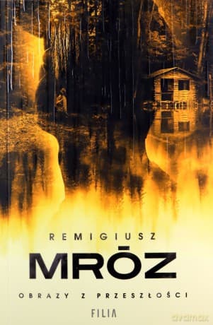 Obrazy z przeszłości - Remigiusz Mróz