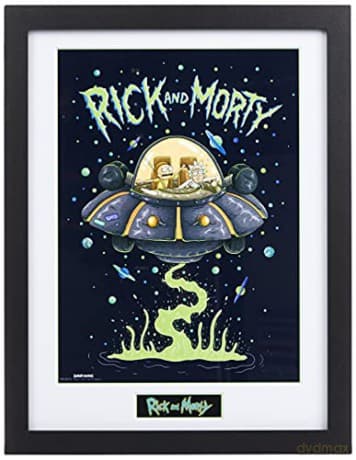 RICK AND MORTY - Plakat w ramie Ship
