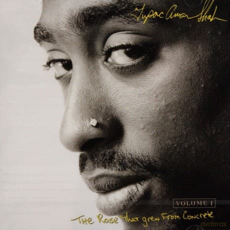 2pac: The Rose That Grew From Concrete vol.1