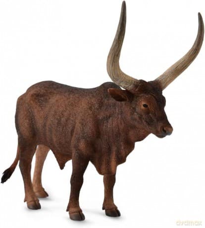 Byk Ankole-Watusi