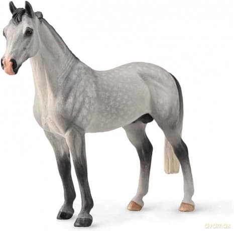 Ogier Hanowerski maści czarnoszarej