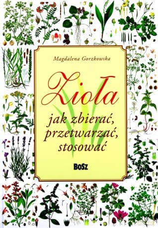 Zioła. Jak zbierać, przetwarzać, stosować - Magdalena Gorzkowska