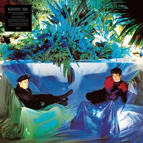 The Associates: 40th Anniversary (Deluxe) (Blue)