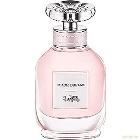 Coach Coach Dreams - EDP - Volume: 40 ml for women